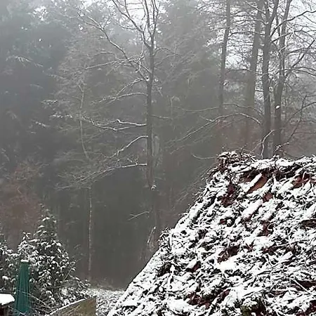 Hotel Der Heidkrug 3*