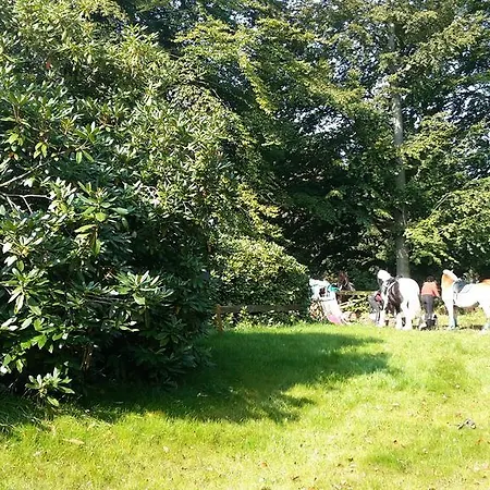 Hotel Der Heidkrug Verden an der Aller